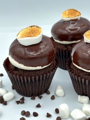 SMORES.jpg