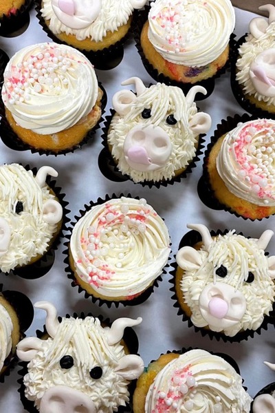 Cow Cupcakes.jpg