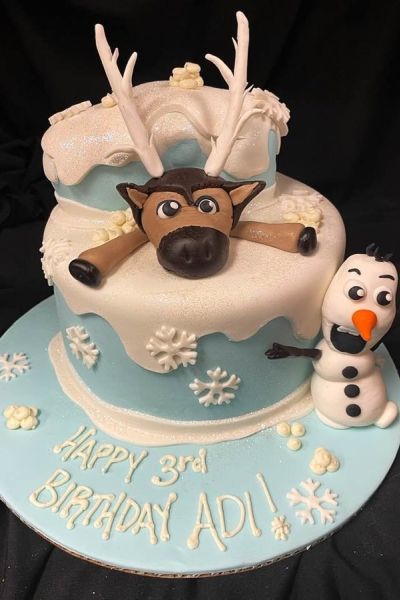 custom order - frozen