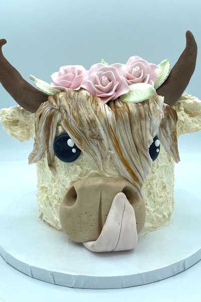 highland cow cake.jpg