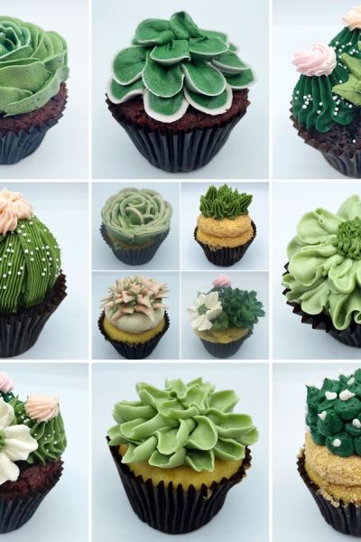 succulent-cupcakes.jpg