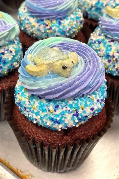 turtle cupcakes.jpg